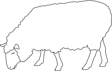 Fototapeta premium 羊 横向き アウトライン