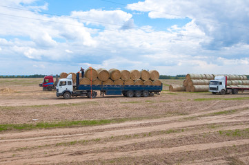 Obraz premium Farm operations in the field.
