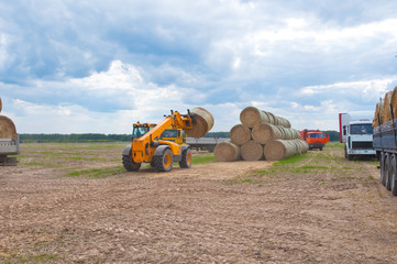 Obraz premium Farm operations in the field in the autumn.
