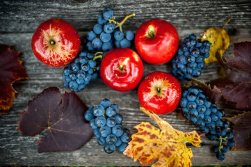 autumn harvest at vineyard with ripe grapes and red apples