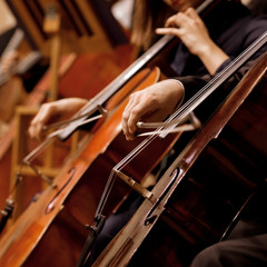 Hands of the man playing the cello