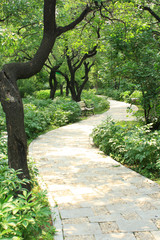 Fototapeta premium Garden Path