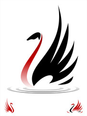 Naklejka premium Beautiful swan. Swan on the water spread out its wing