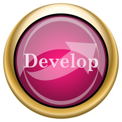Develop icon