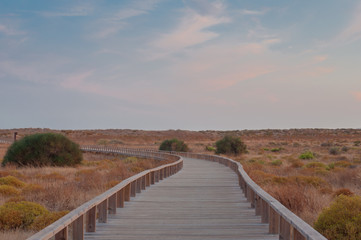 Obraz premium Wooden footbridge in the dunes, Algarve, Portugal, at sunset