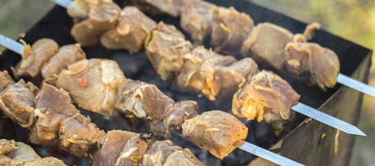 Appetizing fresh meat shish kebab.