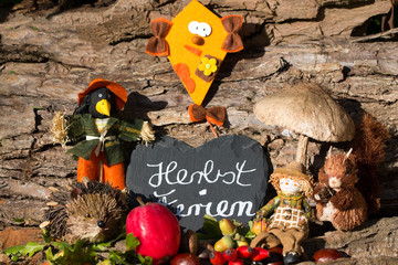 Herbstferien mit Igel,Drache,Eichhörnchen