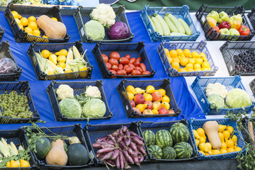 Autumn fruits and vegetables