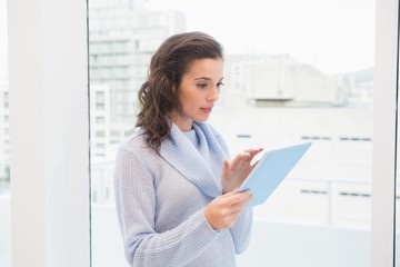 Pretty brunette using tablet pc by the window