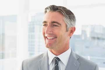 Fototapeta premium Businessman smiling at his office
