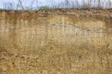 Cross section of dirt 3