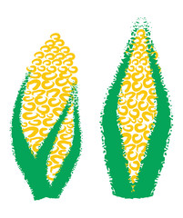 Hand drawing corn, maize,