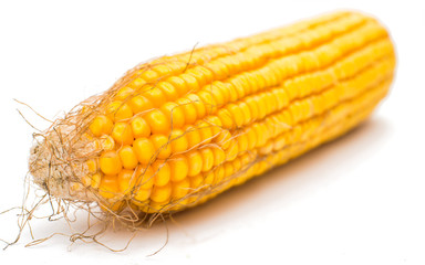 Sweet corn