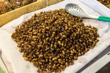 baby cicada fried for sell