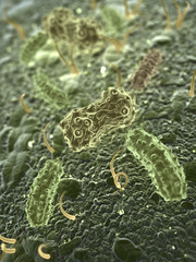Fantasy Microbes or bacteria or virus.  Science 3d illustration