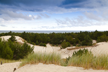 Sand dunes on the Baltic coast in the morning
