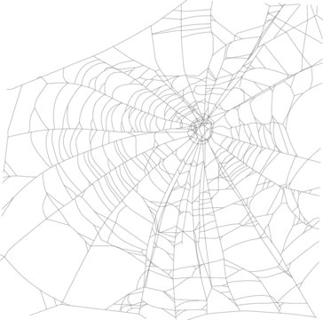 large old black spider web illustration