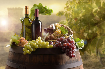 Bottles of wine with barrel on vineyard