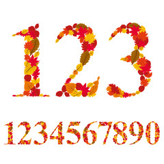 Numbers made with leaves, floral numerals set, vector design.