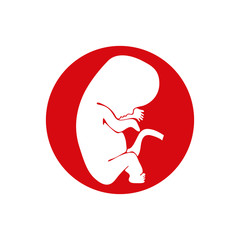 Fetus vector icon isolated.