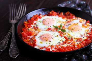 scrambled eggs with herbs, tomatoes and peppers. shakshuka