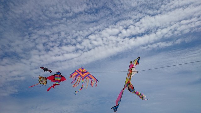 Flugdrachen an einer Leine