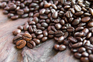 Close up of coffee beans lying strewn along the wood decay.