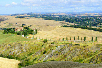 Naklejka premium Crete Senesi (Tuscany, Italy)