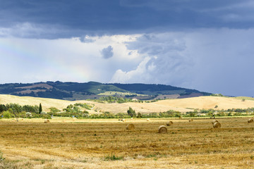 Country landscape in Tuscany