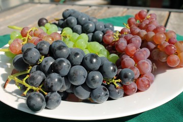 Fresh ripe bunches of grapes on a sunny patio table
