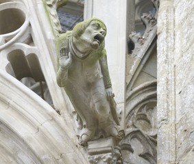 Gargoyle - Carcassonne, France