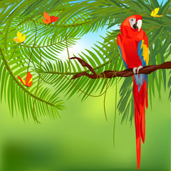 Naklejka premium rainforest and parrot