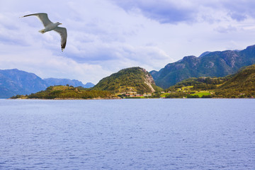 Fototapeta na wymiar Fjord Lysefjord - Norway