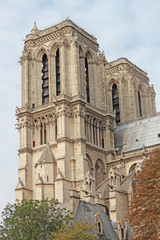 Paris Notre Dame