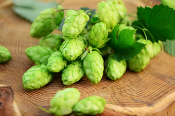 Hopfen