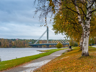 Autumn landscape with bridge