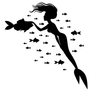 Silhouette mermaid and fish