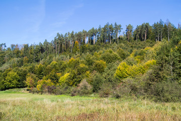 Herbst im Großen Goldersbachtal / Schönbuch