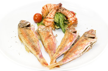grilled fish with shrimp salad