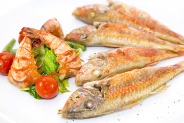 grilled fish with shrimp salad