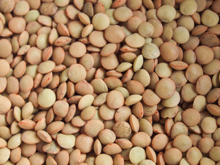 Lentils