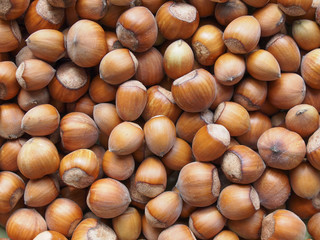 hazelnuts