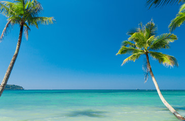 Obraz na płótnie Canvas Idyllic Island Exotic Paradise