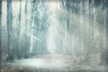 Papier Peint photo Forêt brouillard mystique de la forêt