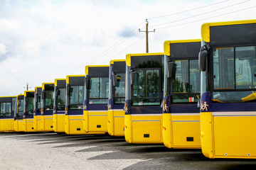 Fototapeta na wymiar Big yellow buses parked in a line