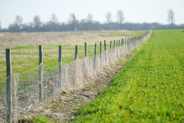 Wide green pasture in the countryside