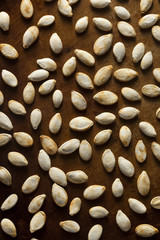 Roasted Salty Pumpkin Seeds