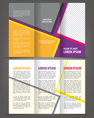 Vector empty trifold brochure print template design