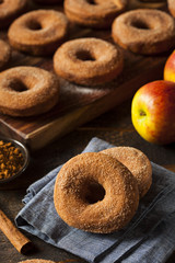 Warm Apple Cider Donuts