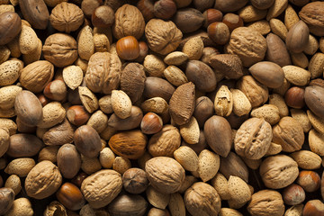 Assortment of Whole Raw Mixed Nuts